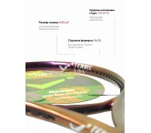 Теннисная ракетка ROWAN (РЯБИНА) фиолетовая